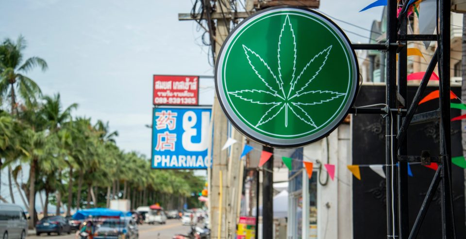 thailand travel 2025 weed